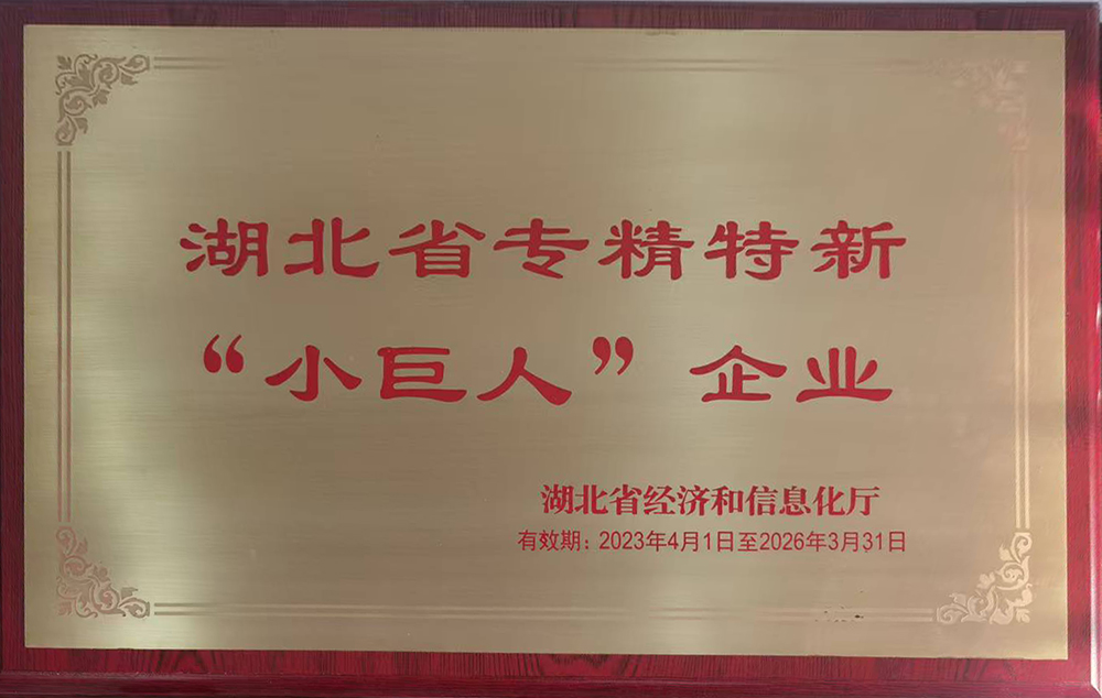 湖北省專精特新小巨人企業(yè)